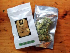 Kjøp Girl Scout Cookies Cannabis i Norge