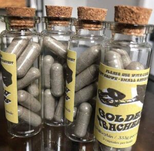 kjøp psykedelisk sopp på nett i Norge 