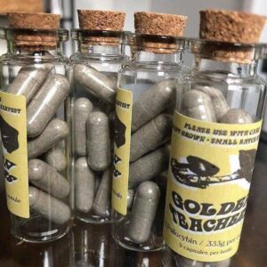 kjøp psykedelisk sopp på nett i Norge