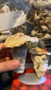 kjøp magisk sopp på nett i oslo Norge