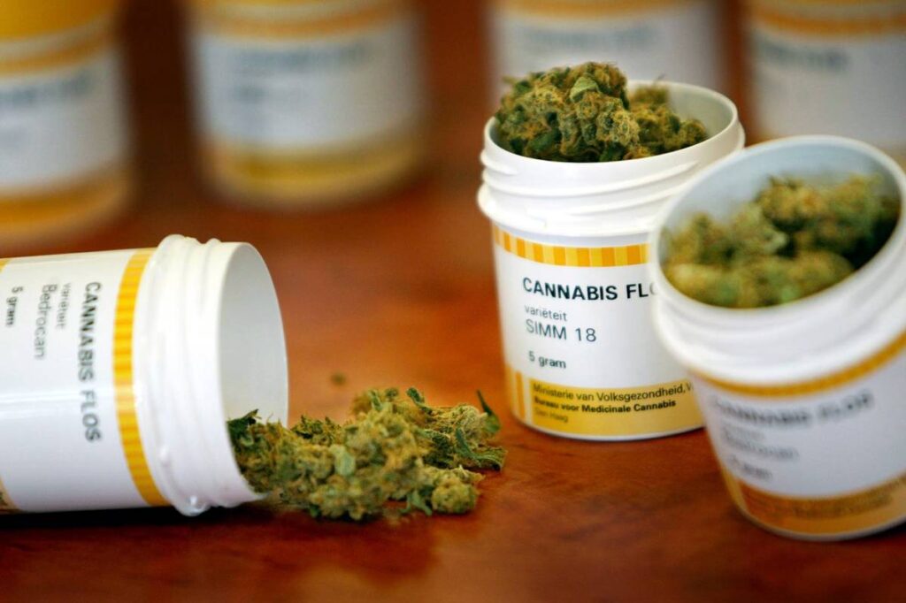cannabis motsmerterogangst i Norge
